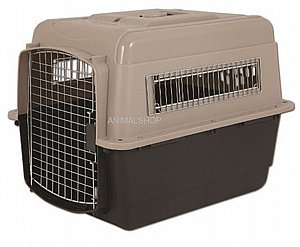 ���� ���� ���� ������ 5 M ���� 81 �"�