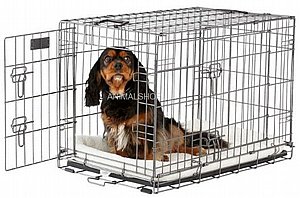 כלוב אילוף לכלב במגוון גדלים ומידות כלוב אילוף לכלב במגוון גדלים ומידות