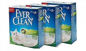 ��� 3 ��' ���� ���� ���� ����� ����� ��� ������ 8.3 �"�