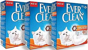 ��� 3 ��' ���� ���� ���� ����� ���� ����� 8.3 �"�