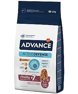 ������ ���� ����� ������ ��� 12 ����