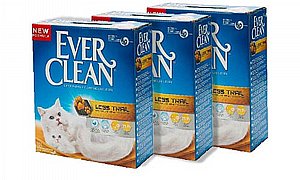 ��� 3 ��' ���� ���� ���� ����� ���� ����� ��� ��� 8.3 �"�