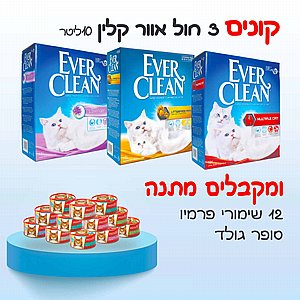 ��� 3 ��' ���� ���� ��� ������� 8.3 �"� ���� 12 ������ ���� ���� ����