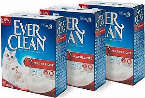 ��� 3 ��' ���� ���� ���� ����� �� ����� ������ 8.3 �"�