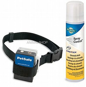 11���� ��� ������ ���� ������ �����