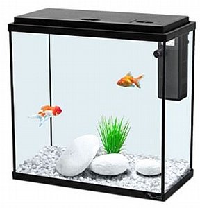 11�������� ����� ������� ���� AVC ����� (30,35,40,50) ��� ����