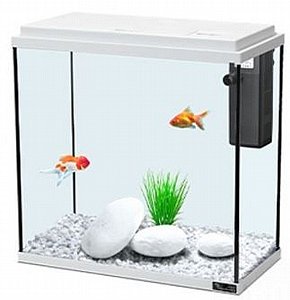 11�������� ����� ������� ���� AVC ����� (30,35,40,50) ��� ���