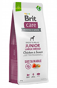 ���� �� �������� ����� ��� ���� 12 �"�