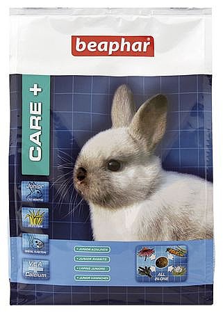���� ���� + ����� 10 �"�