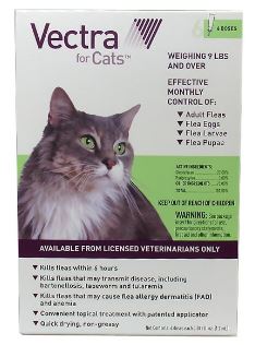 vectra feline
