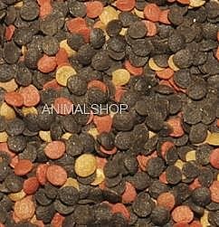 ������� ������ ���� ���� ������ ������ ��������� 1000 �"�