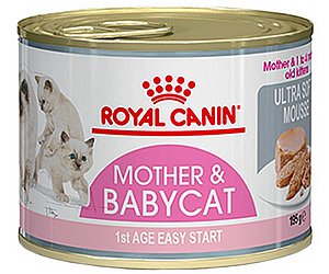 ���� ��� ����� ���� ����� ���� ����� �� 195 ��' 