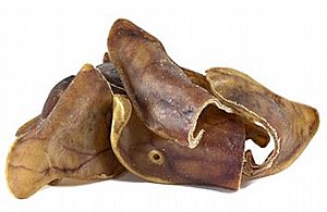 ���� ���� ������ ���� L