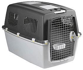 ���� ���� ���� ������ 6 ���� 92 �"�