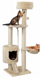 ���� ����� ����� 3 �����  ���� 115 �"� SP1925