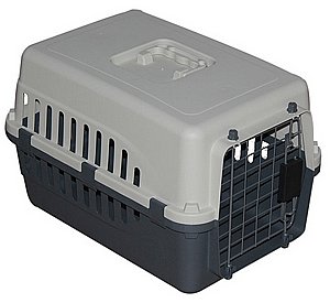 ���� ����� ����