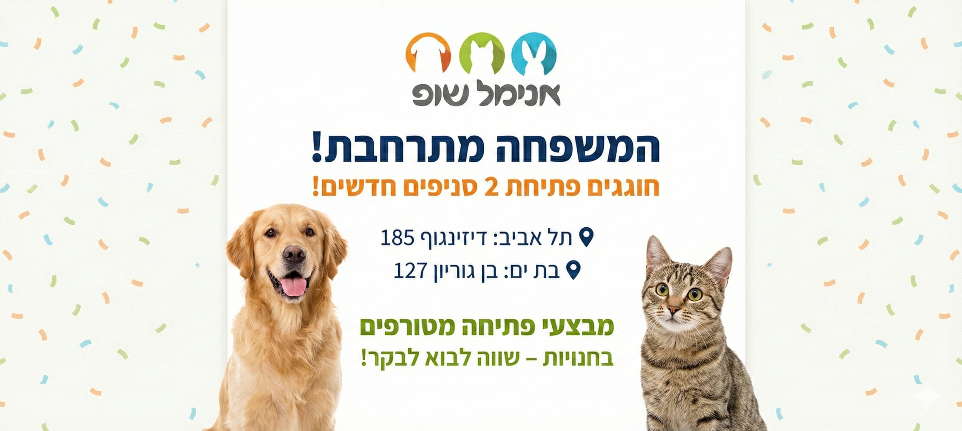 ������ �����