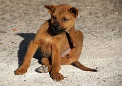 ������� ���� � �� �� ����� ����