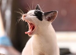 ��� ����� �� ��� ����� ���� ���� ���� ���?