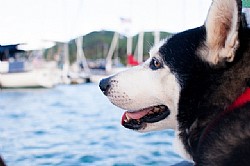 ��� ���� �� ����?