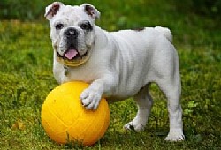 9 ����� ��� ����� ���� ������ ����� ���� ������� ����