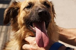 ���� ����� ������? ��� ����� ��� �����?