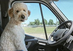 10 ���� ������ ��� ������ ���� ����� ��� ������ ��� ���!