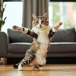 ��� ��� ������ - ��� ������ ���� ���� �����! 