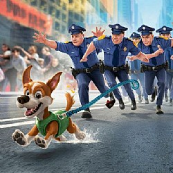 ����� ����� ������ - �����?