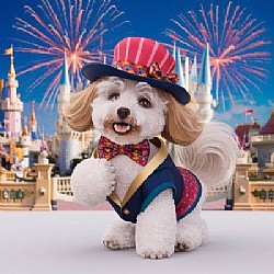 ����� ���� ����� ���� ��� - ����� ������ ������ ���