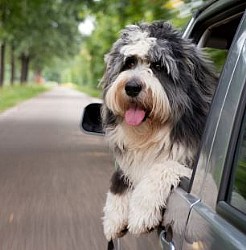 ���� ���� ������� ������? ��� ���� �� ���� �������!