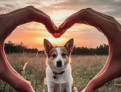 ��� ���� �� ���� ����? ������ �������� ����� ��� ������� 