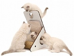 ���� ����� ����� - 10 ����� ���� ������ ���� 