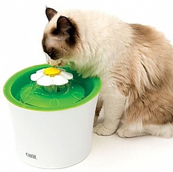 ����� ����� - ����� �� �� �����! 