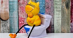 ������ ����� �������? 6 ����� ������ �����