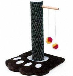 ���� ����� ������� � ��� ����� ���� ����� �������?