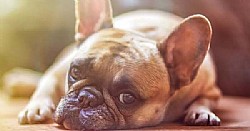 ��� ������� - ��� ���� ���� ���� ����� ��?