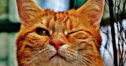 ����� ������ � ��� ���� �� ����� �����!