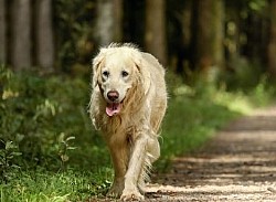 �� �� ����� ���� �� ����� ���� �����