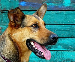 ���� ����� �� ������ ��� �������� �� ����