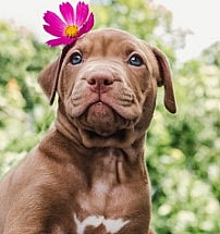 ����� ����� � �� ���� ����?