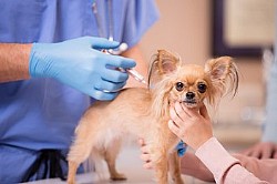 ����� ����� ������