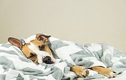 �����! ���� �� ������- �� �����?