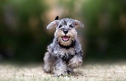 ������ ���� - �� �� ������ ����!!