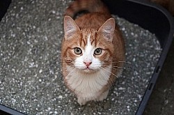 �����! �� ����� �� ����� - �� �����?