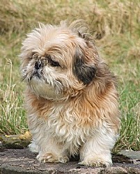 ����: ��� ���, ���� ���� � ����� ����� ���� ��� ����� ������