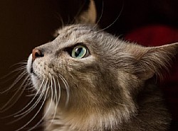 ���� ���� ����� 5 ������� ����� ����� ����