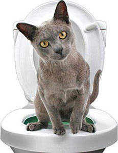 תרסיס אנטי- בקטריאלי לניקוי וחיטוי שירותים לחתול 500 מ''ל