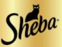  - Sheba