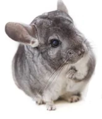 ''
